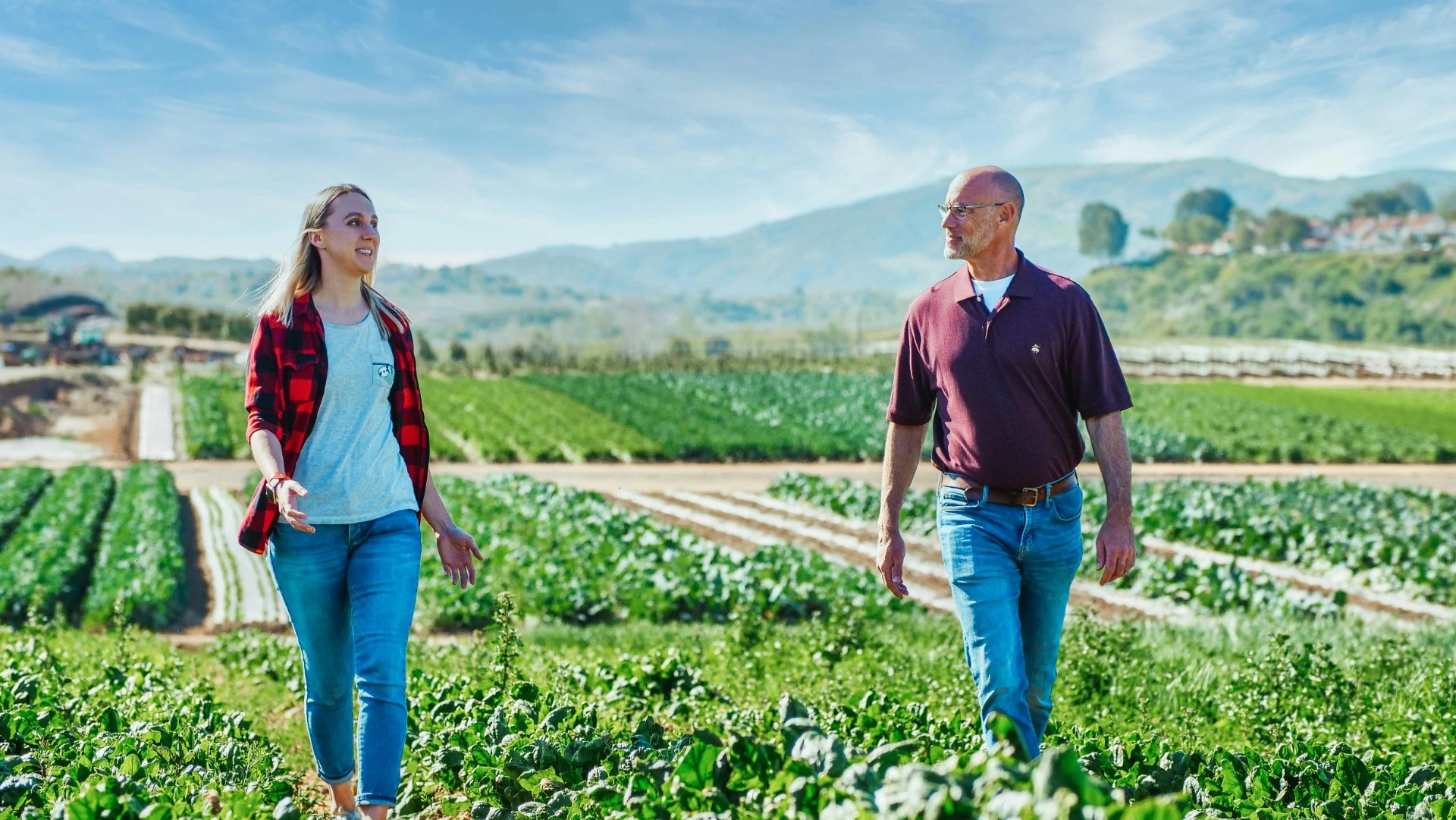 Personas caminando en un campo de cultivo